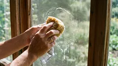 Plasa de țânțari va arăta ca nouă în doar 10 minute: o metodă simplă de curățare rapidă cu mijloace la îndemână