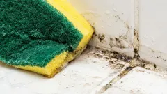  Această băutură lactată îndepărtează instantaneu petele de mucegai.