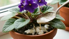 O linguriță sub rădăcină – și vioara va înflori neîncetat: frunzele nu se vor mai vedea din cauza florilor.