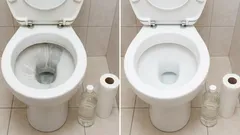 Rulou de hârtie igienică și oțet: o metodă simplă de a îndepărta depunerile de calcar din toaletă și de a-i reda aspectul inițial.