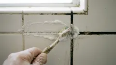 Gresia și rosturile din baie vor arăta ca noi: o metodă rapidă de a scăpa de murdărie și mucegai