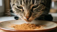 5 mirosuri pe care pisicile le adoră și alte 5 mirosuri pe care nu le suportă